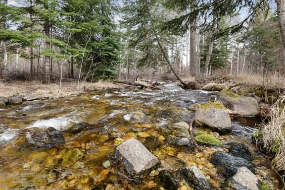 Sweathouse Creek  Lodge - Image 3